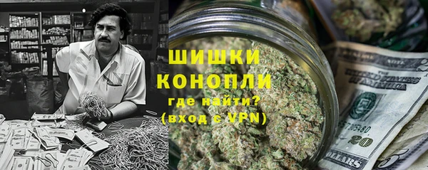ПСИЛОЦИБИНОВЫЕ ГРИБЫ Балабаново