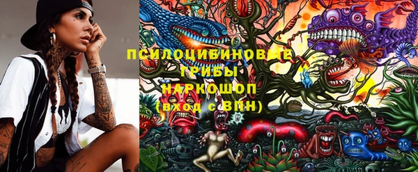 ПСИЛОЦИБИНОВЫЕ ГРИБЫ Балабаново